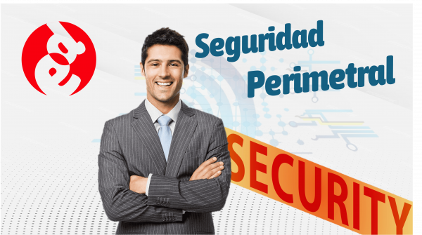 Seguridad Perimetral