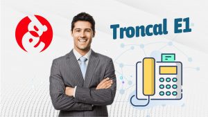 Troncal E1