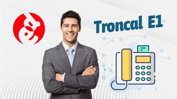 Troncal E1